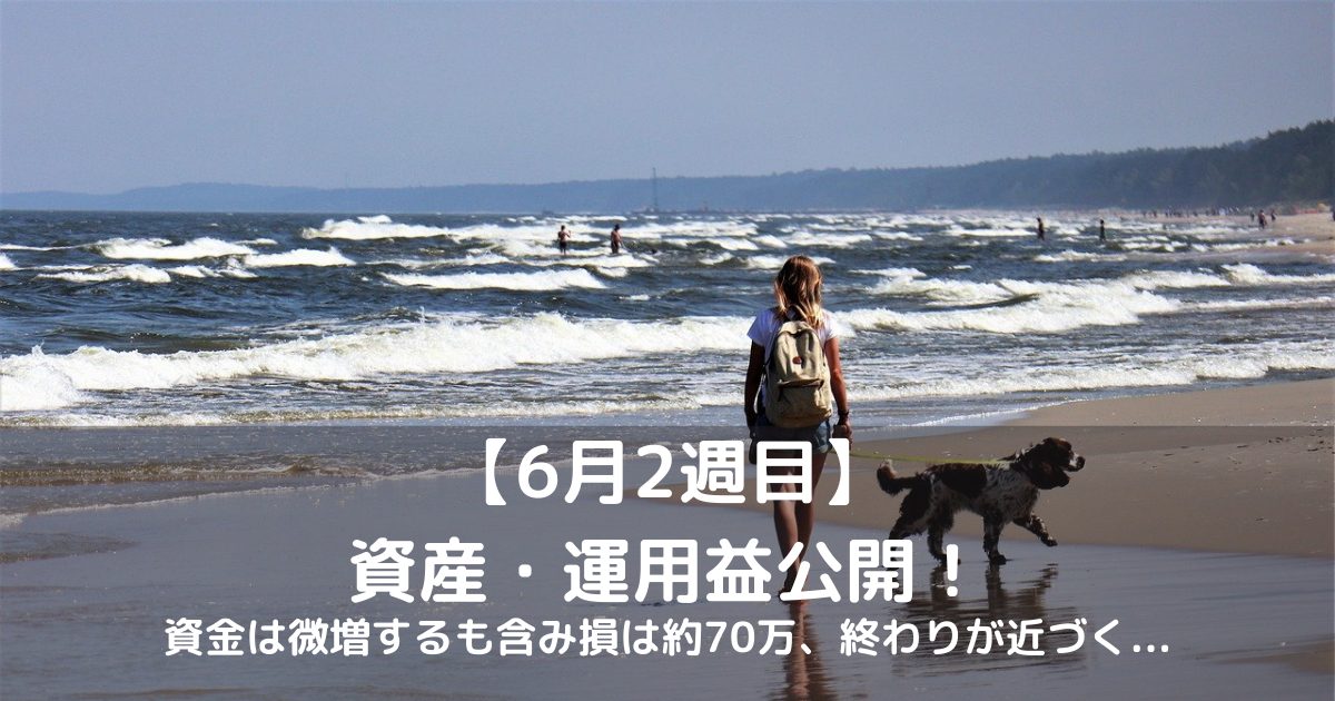 32歳 高卒 会社員 1年で資産1000万円を目指す 21年6月2週目 借金投機家 借金750万円から資産3000万円へ