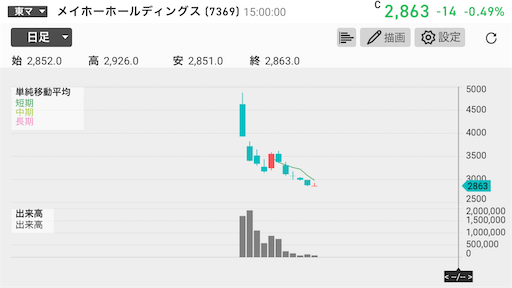 メイホーホールディングス,追証,退場