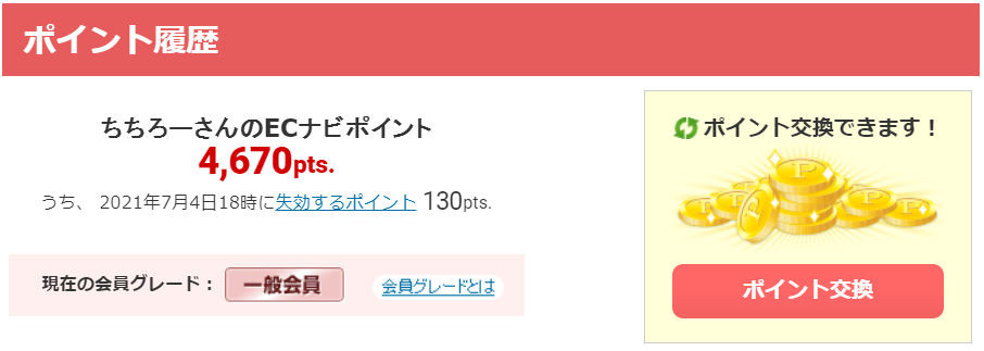 ポイ活 月10万円 副業