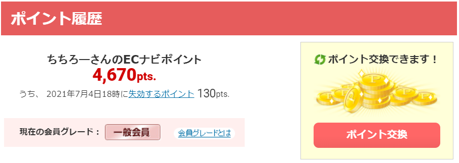 ポイ活　月10万円　副業