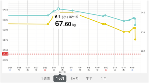 副業 バイト 痩せる