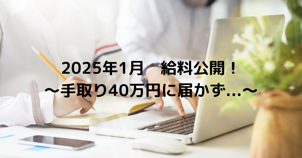 36才　手取り月収　年収550万円