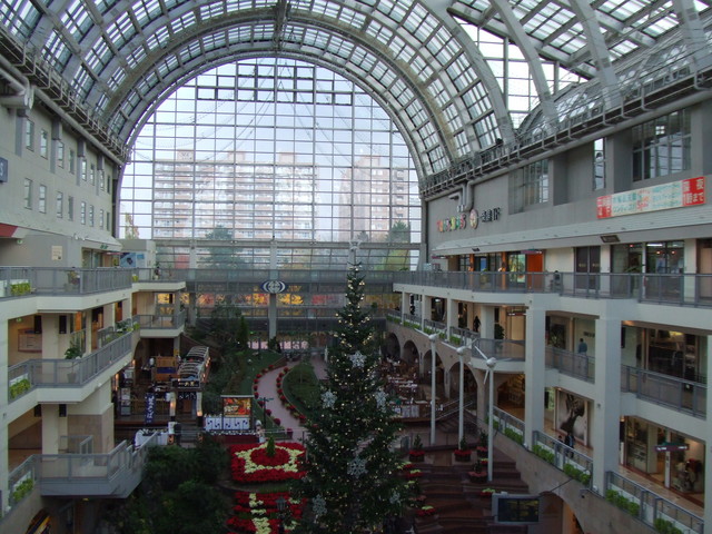 f:id:chickadee:20051114131419j:image:w320