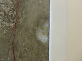 f:id:chickadee:20051126165817j:image f:id:chickadee:20051126165817j:image