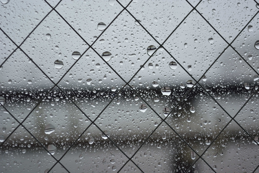 f:id:chicken0215:20180904140912j:plain