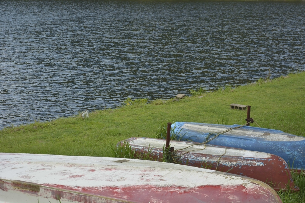 f:id:chicken0215:20181115194612j:plain