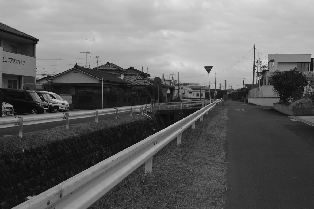 f:id:chicken0215:20190101162437j:plain f:id:chicken0215:20190101162437j:plain