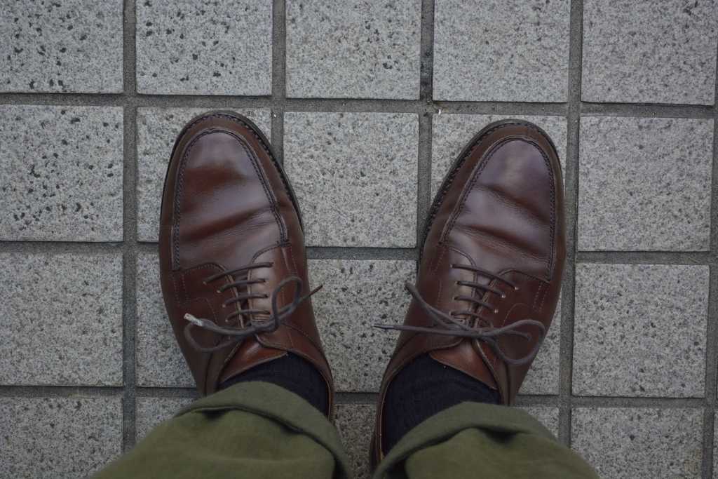 f:id:chicken0215:20190124080557j:plain f:id:chicken0215:20190124080557j:plain