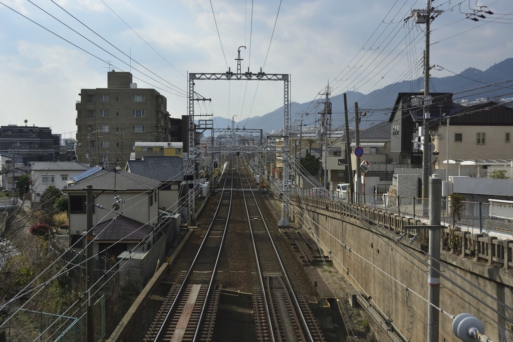 f:id:chicken0215:20190124101248j:plain f:id:chicken0215:20190124101248j:plain