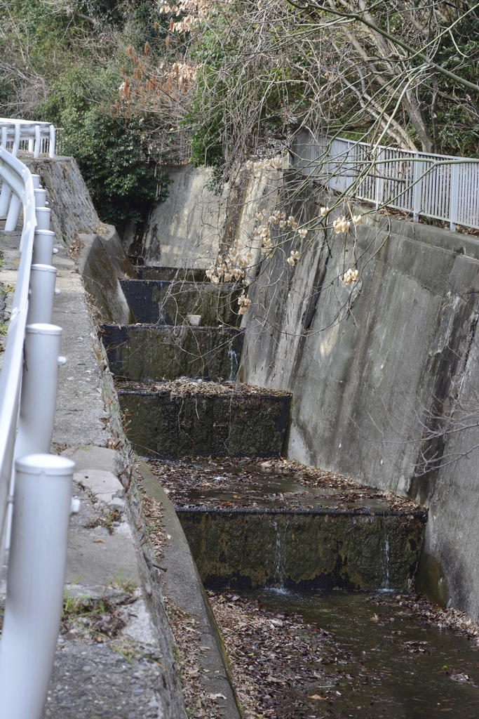 f:id:chicken0215:20190124111104j:plain f:id:chicken0215:20190124111104j:plain