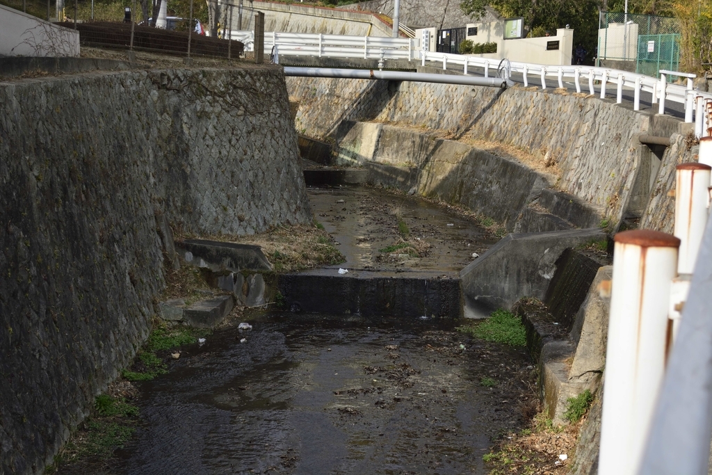 f:id:chicken0215:20190124111703j:plain f:id:chicken0215:20190124111703j:plain