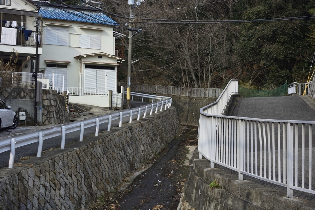 f:id:chicken0215:20190124112535j:plain f:id:chicken0215:20190124112535j:plain