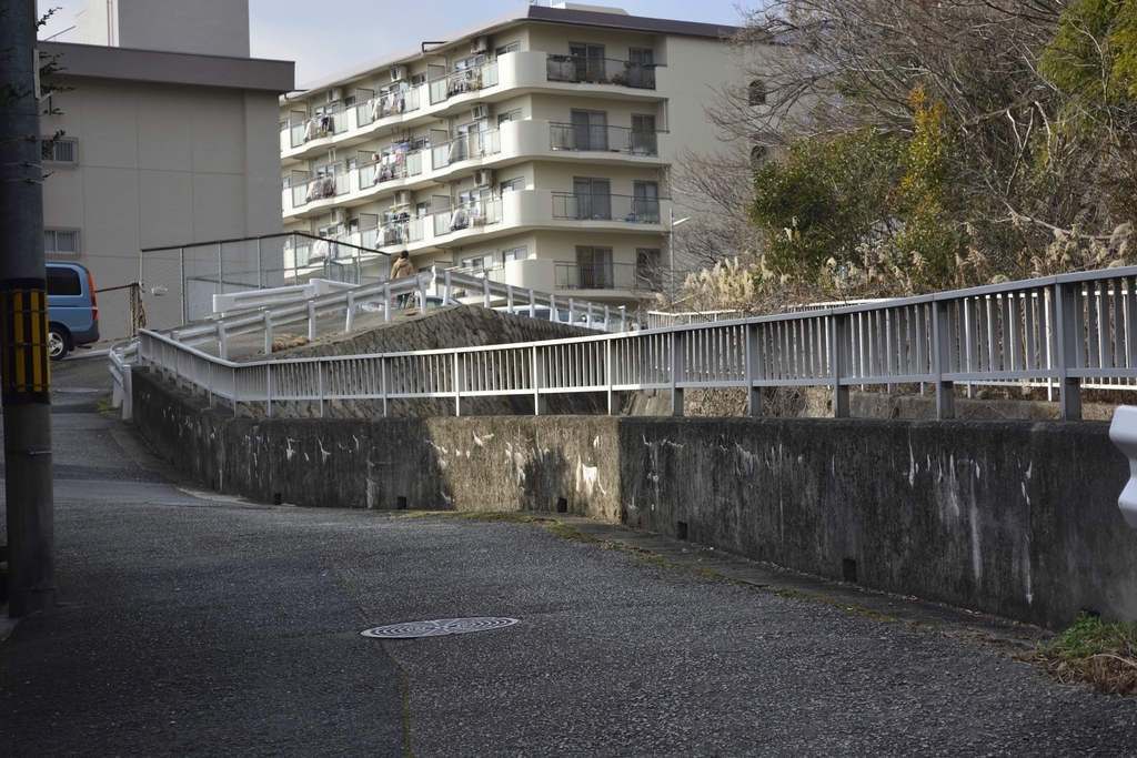 f:id:chicken0215:20190124113300j:plain f:id:chicken0215:20190124113300j:plain