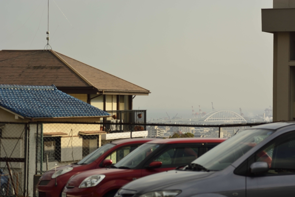 f:id:chicken0215:20190124114520j:plain f:id:chicken0215:20190124114520j:plain