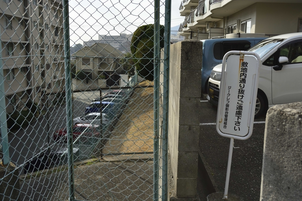 f:id:chicken0215:20190124115003j:plain f:id:chicken0215:20190124115003j:plain