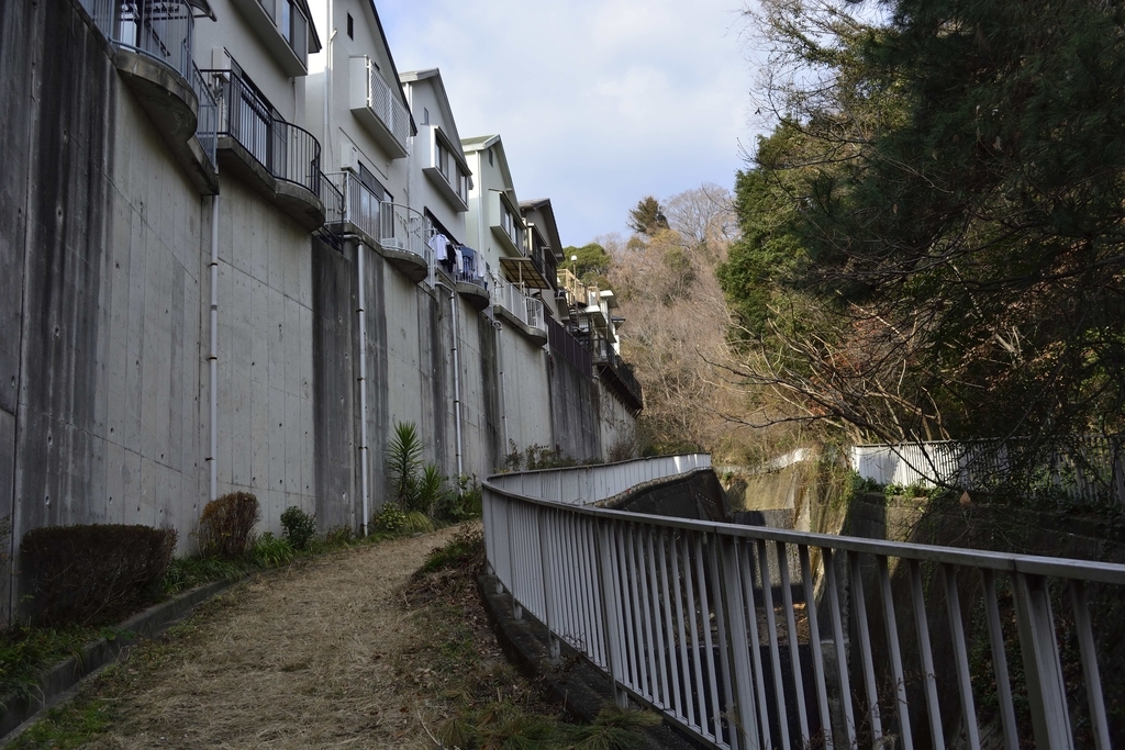 f:id:chicken0215:20190124132900j:plain f:id:chicken0215:20190124132900j:plain