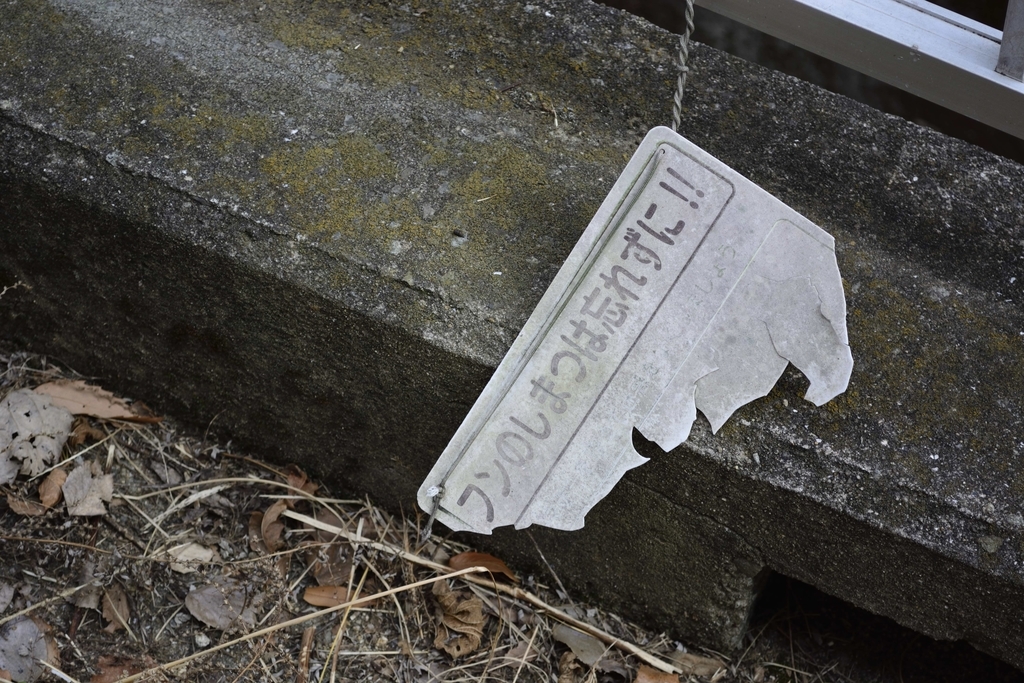 f:id:chicken0215:20190124134810j:plain f:id:chicken0215:20190124134810j:plain