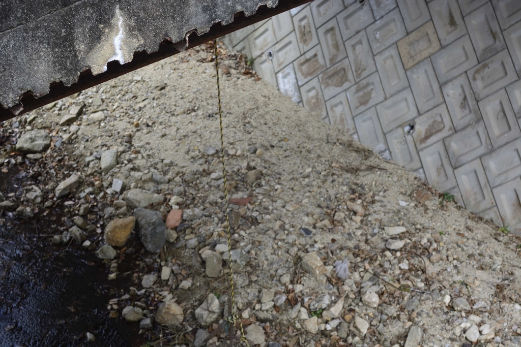 f:id:chicken0215:20190124140017j:plain f:id:chicken0215:20190124140017j:plain