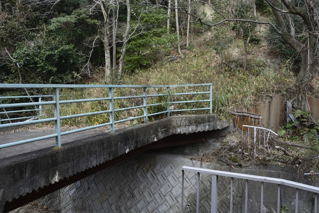 f:id:chicken0215:20190124140153j:plain f:id:chicken0215:20190124140153j:plain