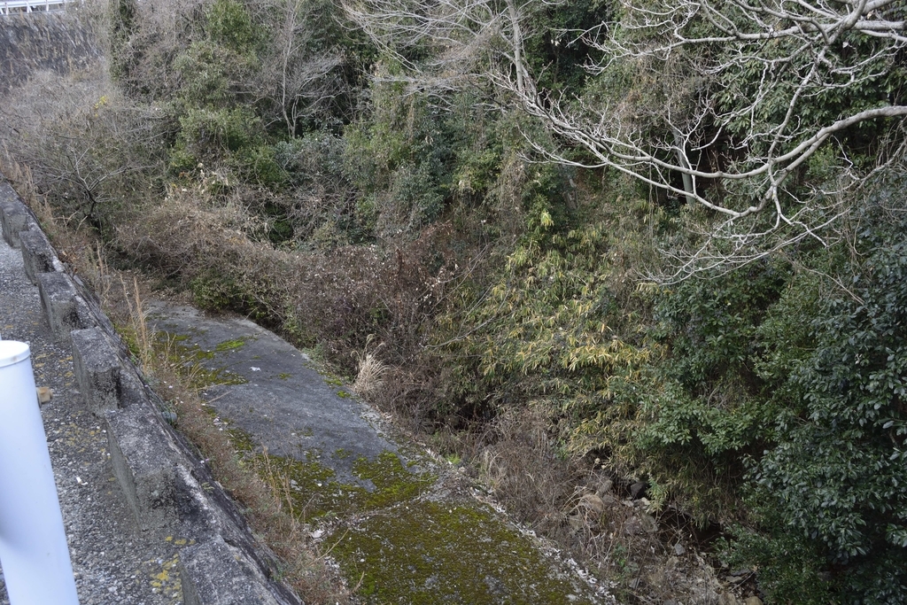 f:id:chicken0215:20190124142022j:plain f:id:chicken0215:20190124142022j:plain