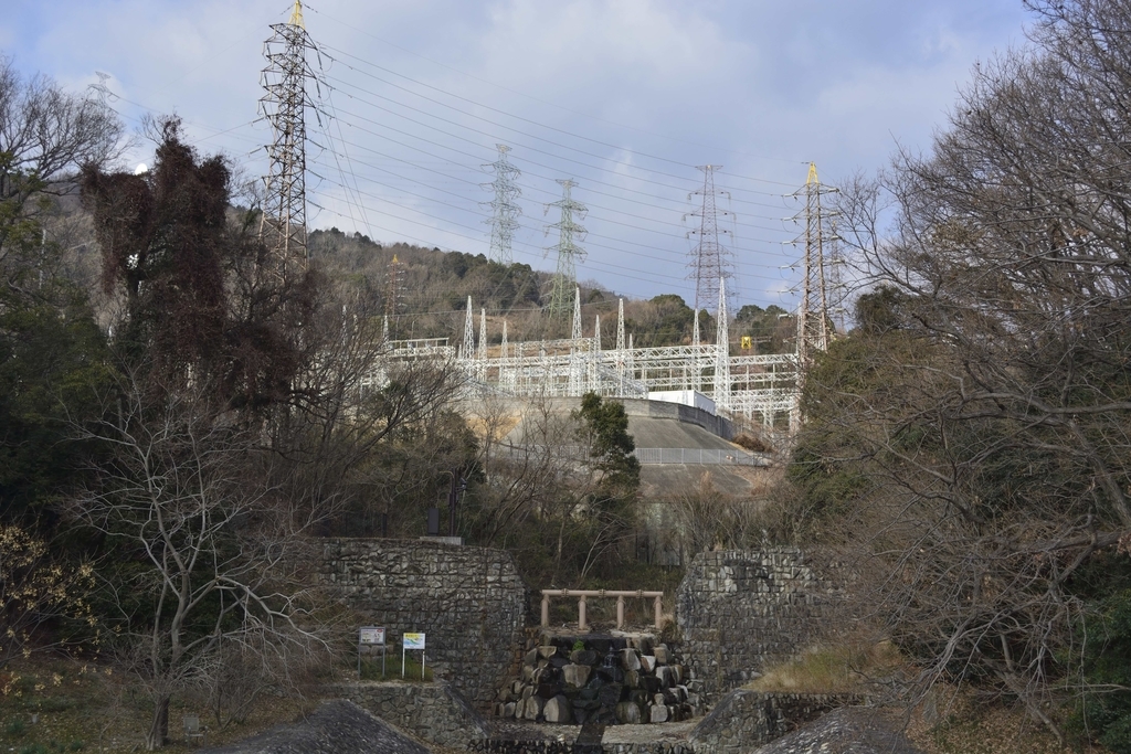 f:id:chicken0215:20190124145537j:plain f:id:chicken0215:20190124145537j:plain