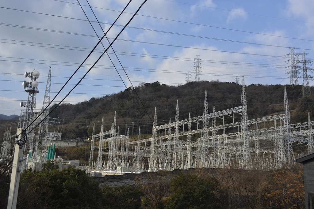 f:id:chicken0215:20190124150952j:plain f:id:chicken0215:20190124150952j:plain