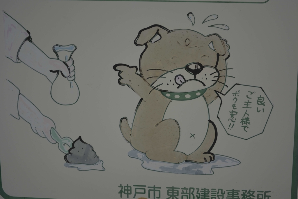 f:id:chicken0215:20190124151038j:plain f:id:chicken0215:20190124151038j:plain