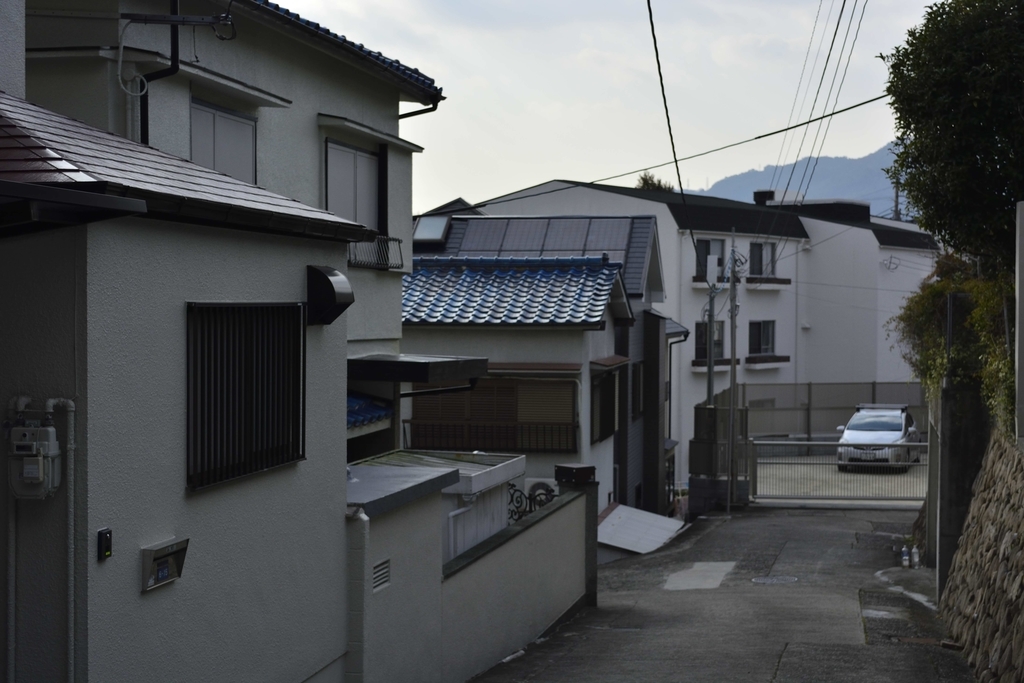 f:id:chicken0215:20190124152107j:plain f:id:chicken0215:20190124152107j:plain