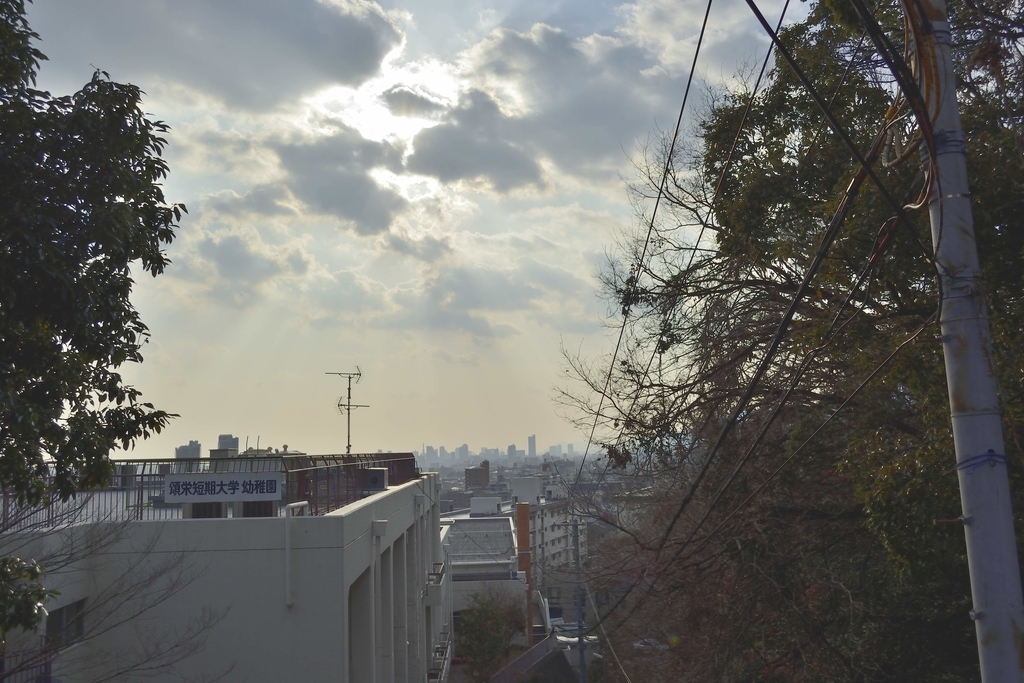 f:id:chicken0215:20190124152225j:plain f:id:chicken0215:20190124152225j:plain