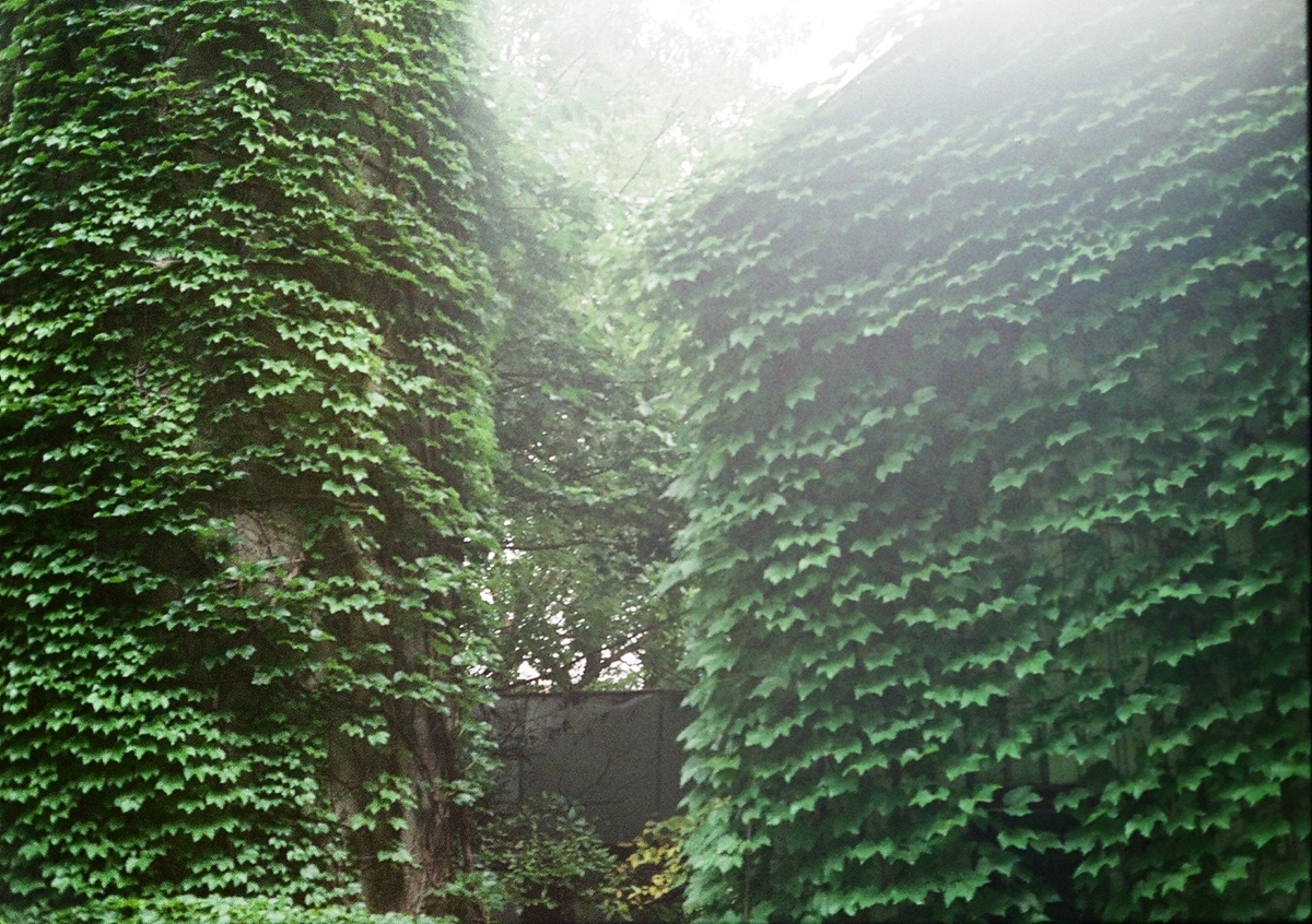 f:id:chicken0215:20190908015552j:plain