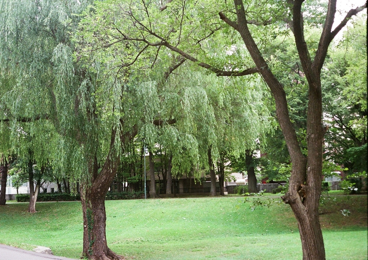 f:id:chicken0215:20190908215357j:plain