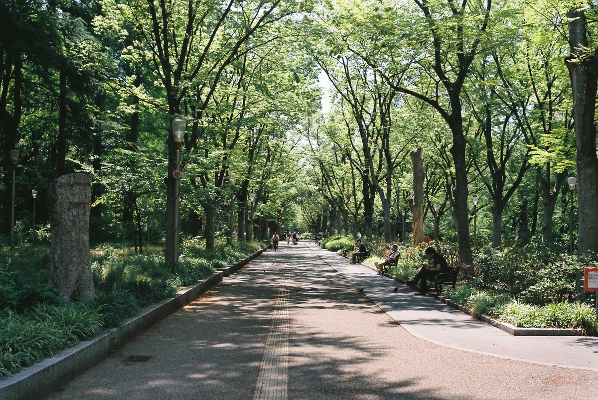 f:id:chicken0215:20191020223813j:plain