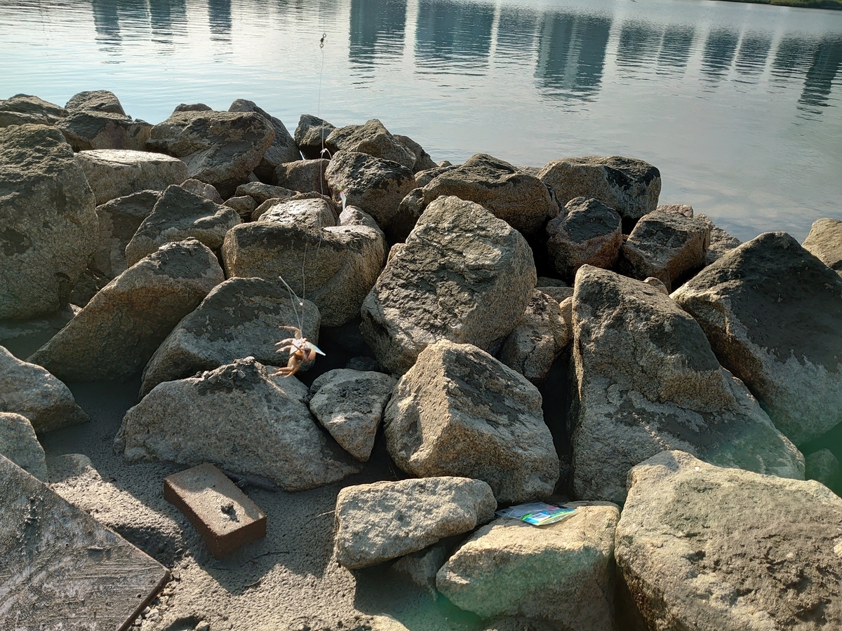 f:id:chicken0215:20210907175707j:plain