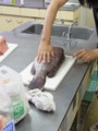 20120519124805
