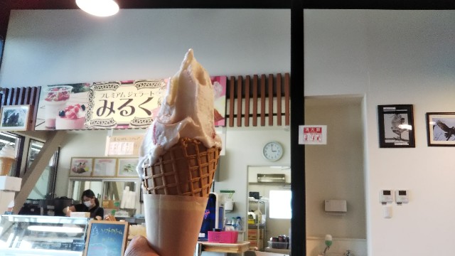 f:id:chickeychii:20190529112433j:image