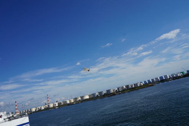 f:id:chickeychii:20201005232954j:image f:id:chickeychii:20201005232954j:image