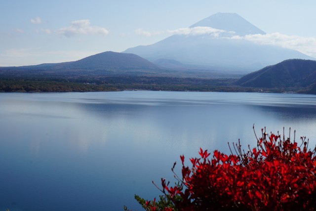 f:id:chickeychii:20201113231407j:image