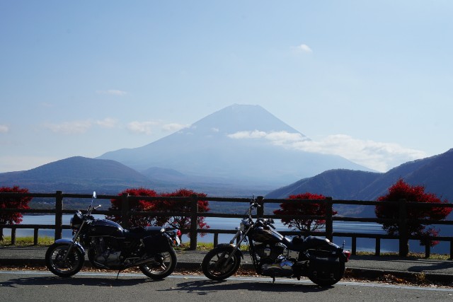 f:id:chickeychii:20201113231537j:image