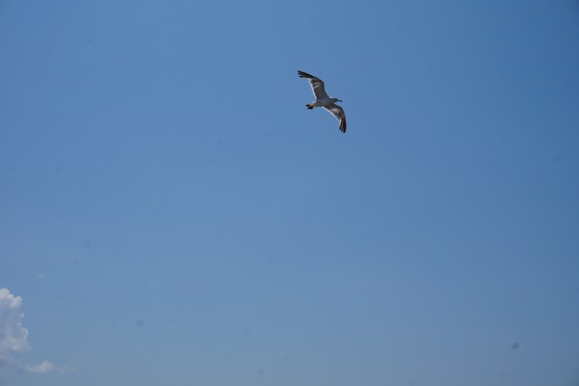 f:id:chickeychii:20210915113015j:image f:id:chickeychii:20210915113015j:image