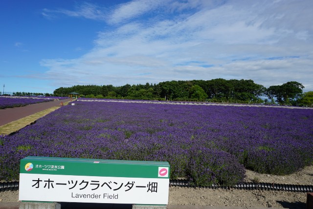 f:id:chickeychii:20211028230849j:image f:id:chickeychii:20211028230849j:image