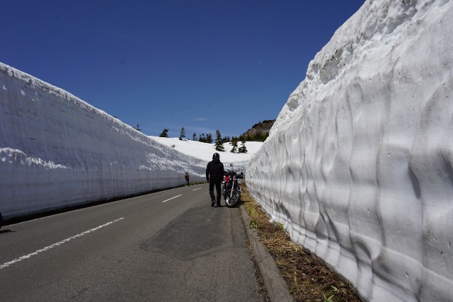 f:id:chickeychii:20220427125734j:image