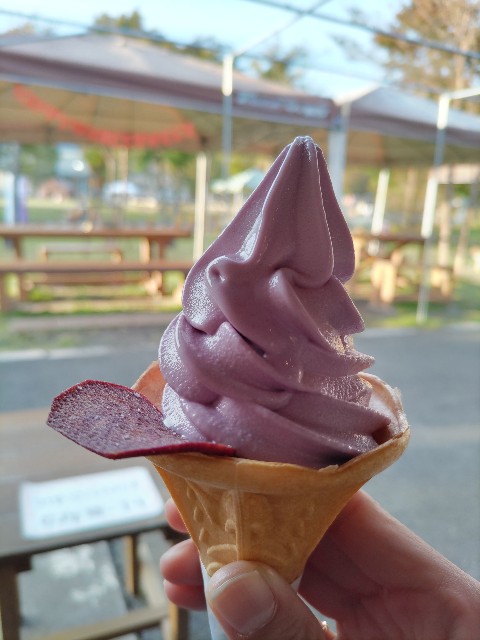 f:id:chickeychii:20221104072750j:image