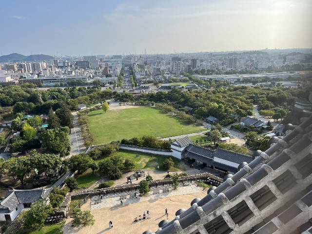 f:id:chickeychii:20240715084827j:image f:id:chickeychii:20240715084827j:image