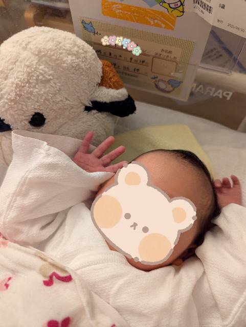 f:id:chickeychii:20250904111805j:image