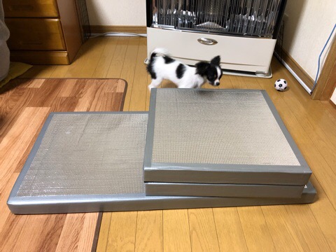 ワカサギ釣り用マット - チコと鬼退治