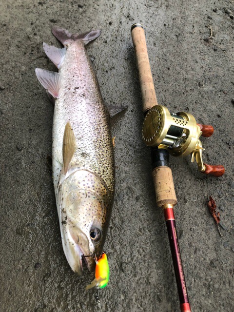 19 釣行 18回目 湿原河川13 チコと鬼退治