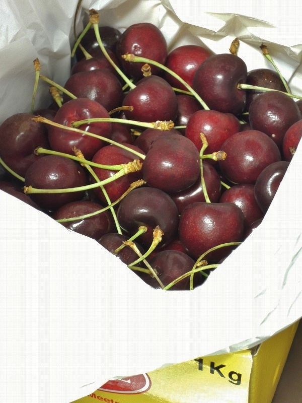 f:id:chicomaru2:20210713083620j:plain