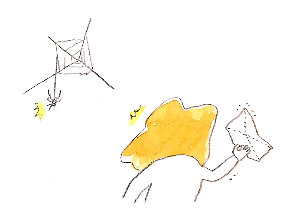 f:id:chicorino:20161110164142j:image