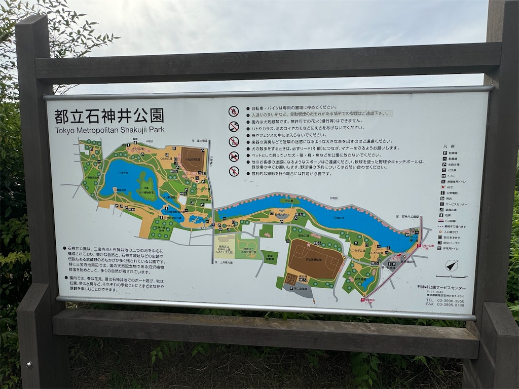 f:id:chidorimemo:20240619051611j:image