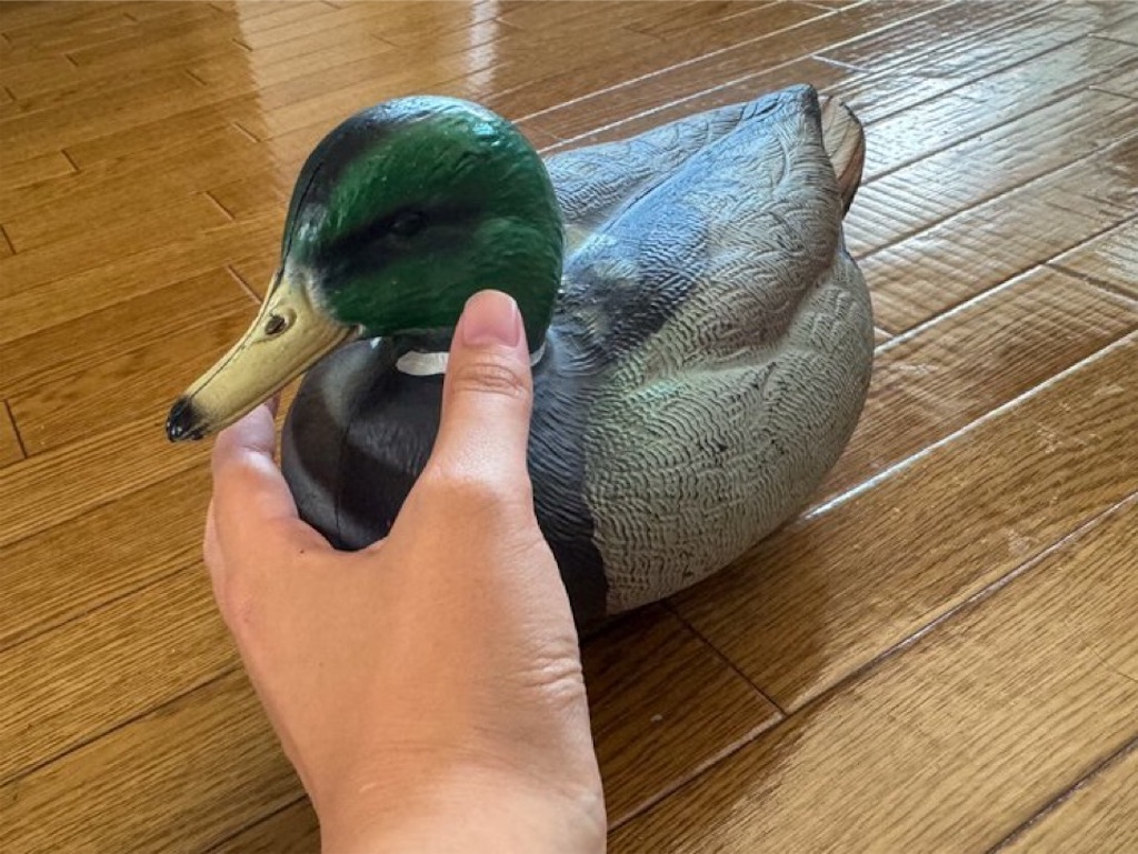 f:id:chidorimemo:20240820060833j:image